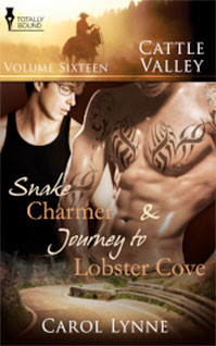 CattleValleyVol16