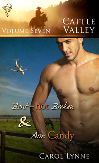 Cattle Valley Volume 7