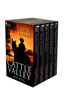 Cattle Valley Box Set 6